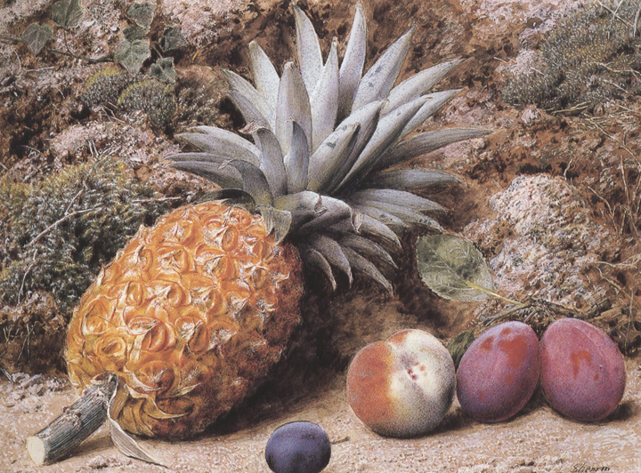 A Pineapple,a Peach and Plums on a mossy Bank (mk37)